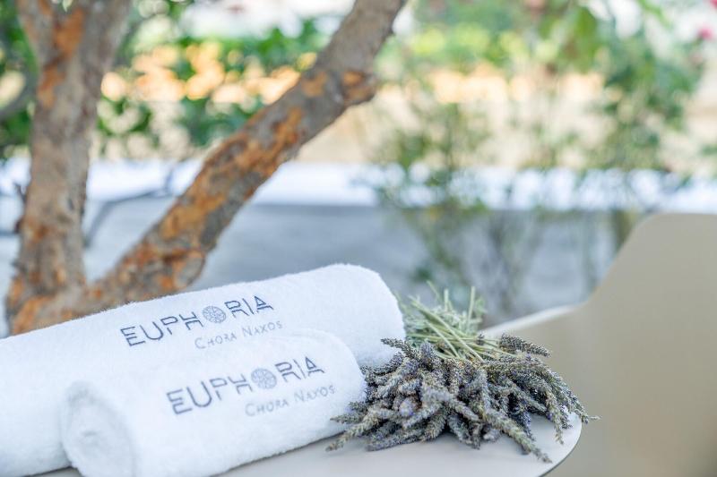 Euphoria Chora Naxos - Genel