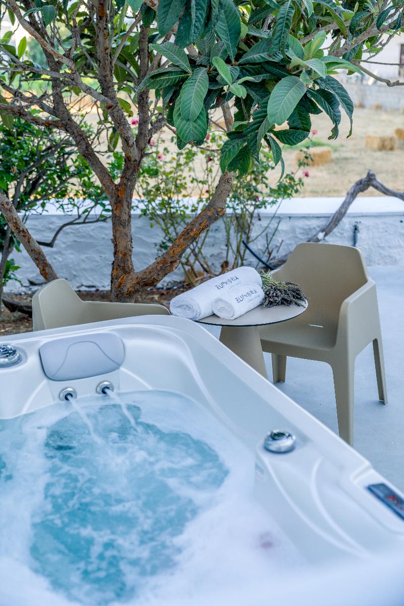 Euphoria Chora Naxos - Oda