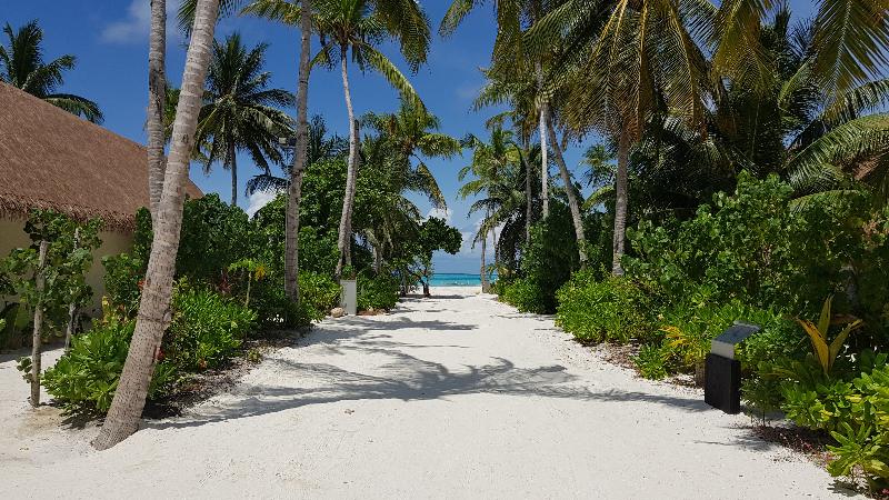 Cinnamon Velifushi Maldives - Plaj
