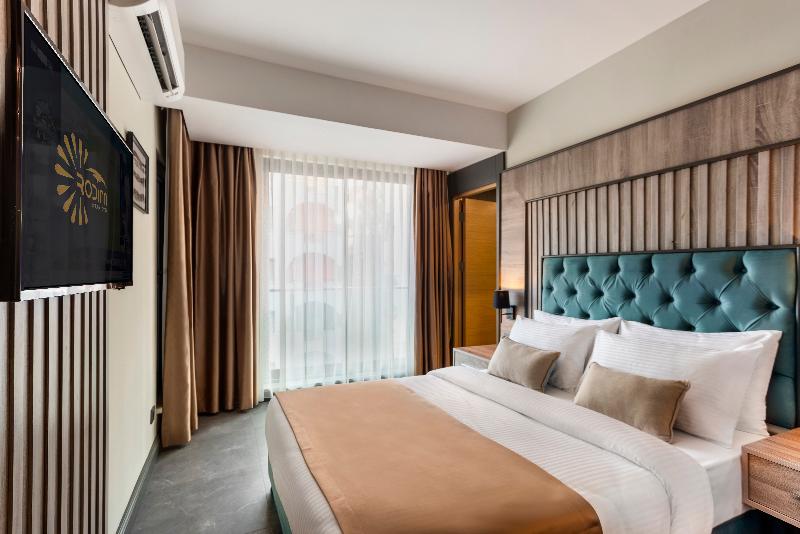 Rodinn Park Hotel - Oda
