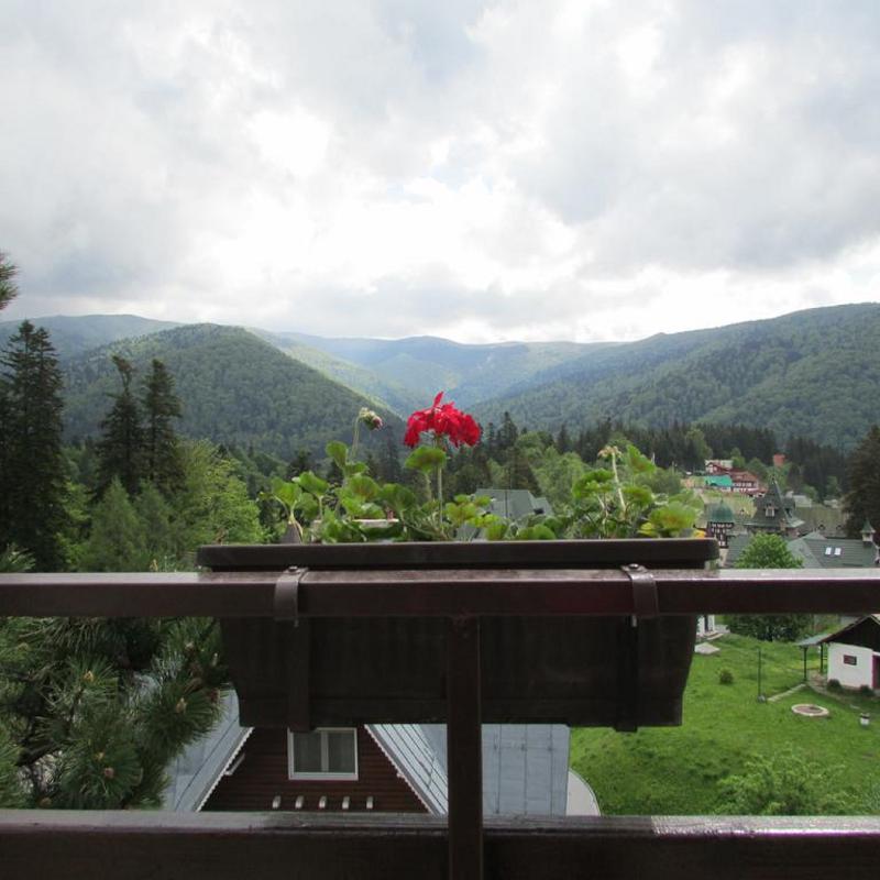 Marea Neagra Sinaia - Oda