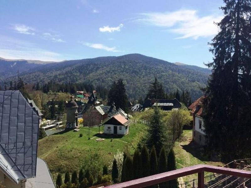 Marea Neagra Sinaia - Oda