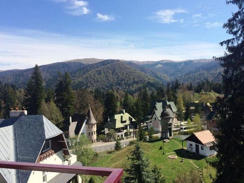 Marea Neagra Sinaia - Oda