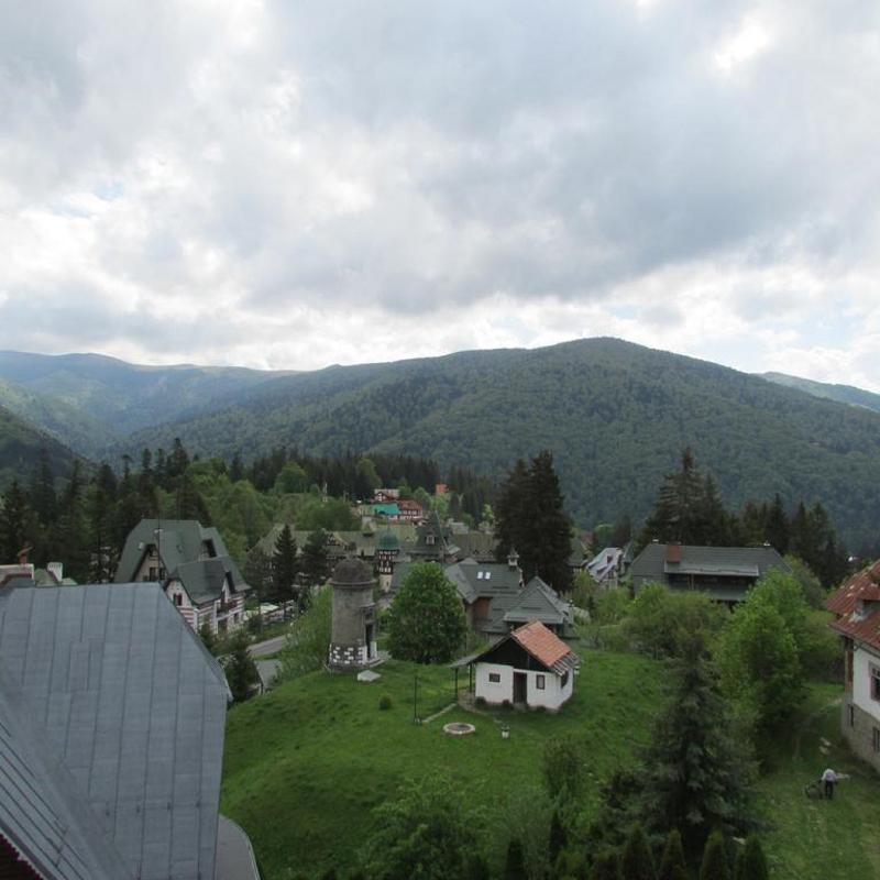 Marea Neagra Sinaia - Oda