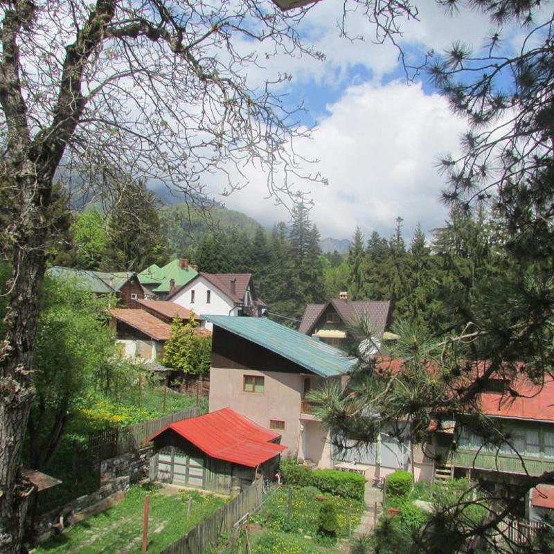 Marea Neagra Sinaia - Oda