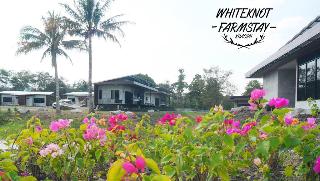 White Knot Khao Yai fotoÄŸrafÄ±