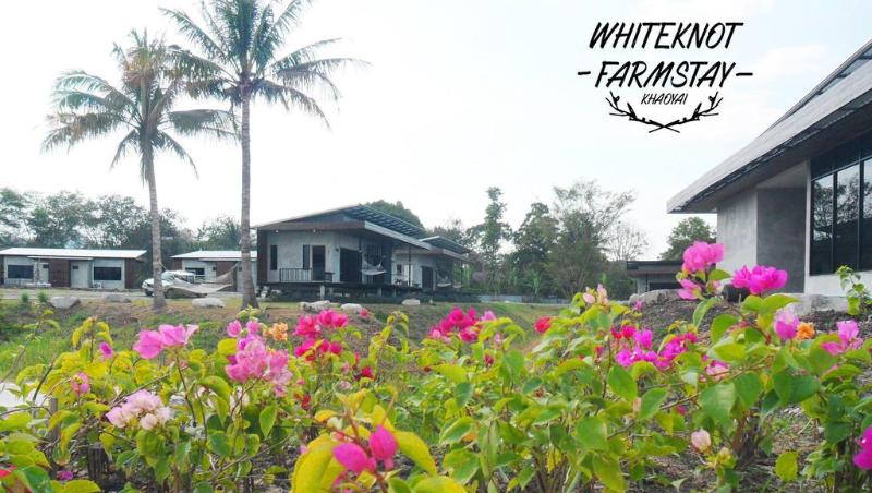 White Knot Khao Yai - Genel