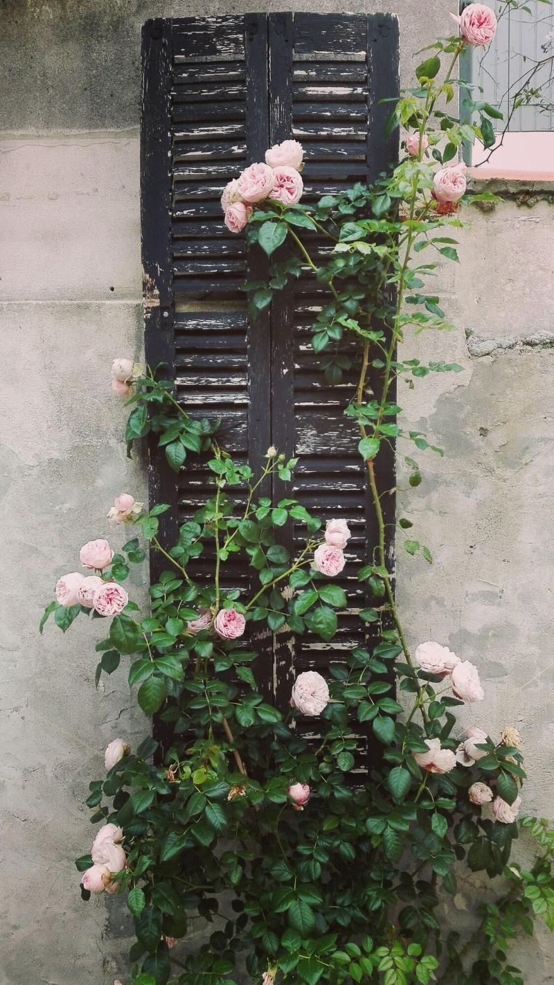 La Maison Douce - Lobi