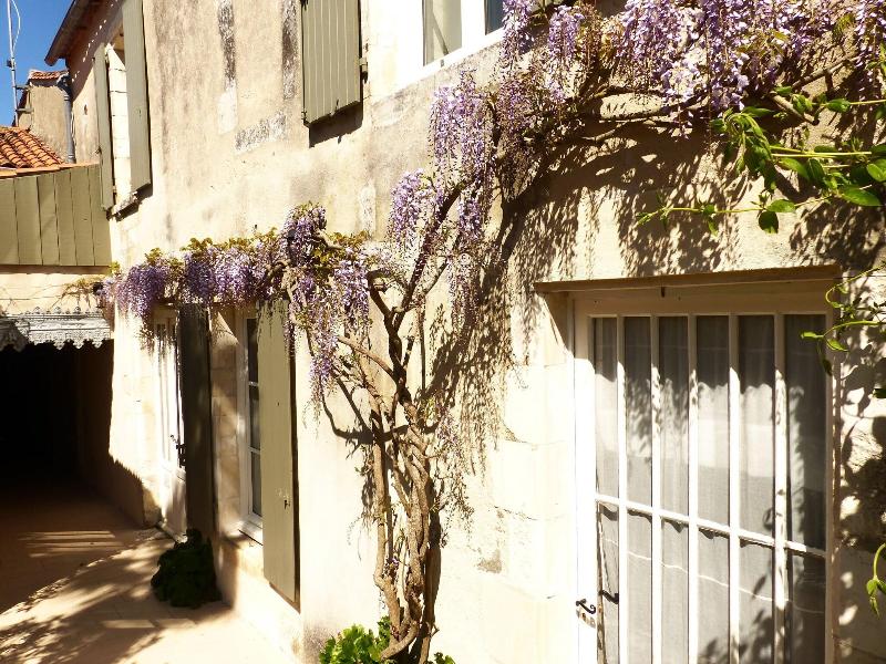 La Maison Douce - Genel