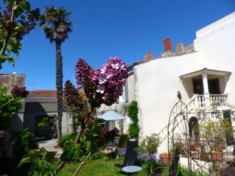 La Maison Douce - Teras