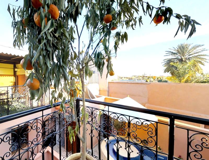Riad SANIA BY GHALI 2 - Teras