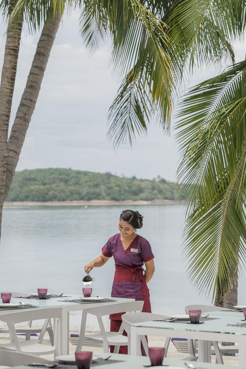 La Vida Samui - Genel