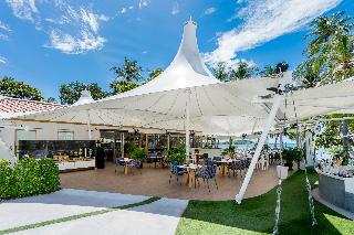 La Vida Samui fotoÄŸrafÄ±