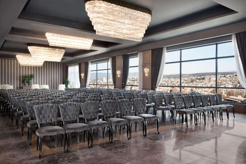 Wyndham Grand Tbilisi - Toplantı