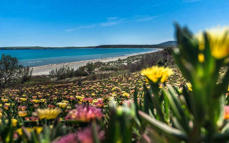 KEROS BLUE Luxury in Wilderness - Genel