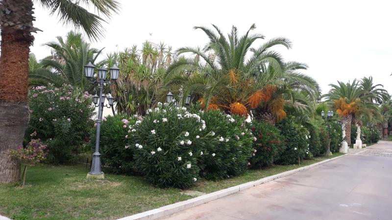 Grand hotel Vigna Nocelli - Genel