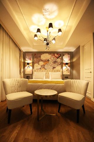 Royal Tophane Hotel fotoÄŸrafÄ±