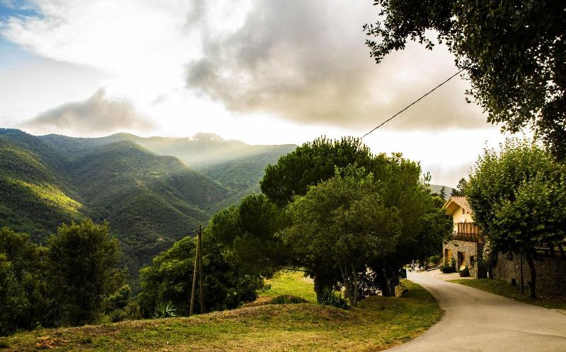 Hostal Montserrat - Aktivite
