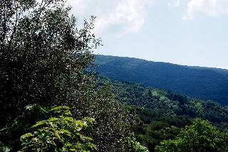Hostal Montserrat fotoÄŸrafÄ±