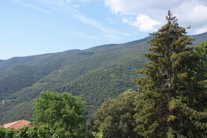 Hostal Montserrat - Oda