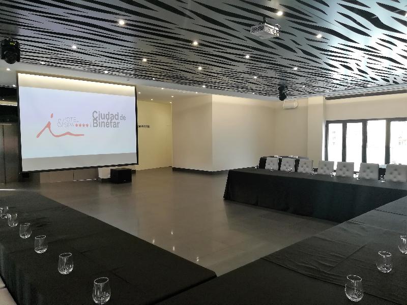 Hotel & SPA Ciudad de Binefar - Toplantı