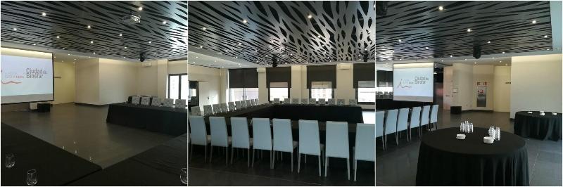 Hotel & SPA Ciudad de Binefar - Toplantı