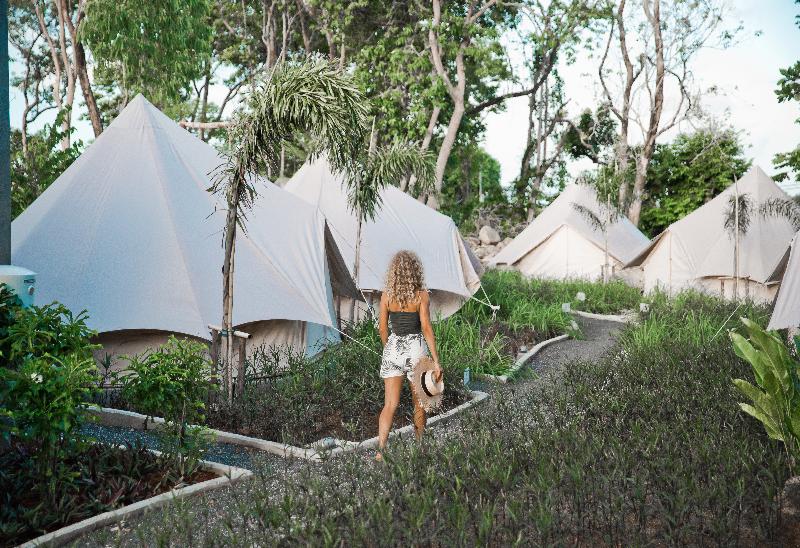 Roost Glamping - Genel