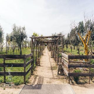 Herdade Da Rocha Boutique Lodge fotoÄŸrafÄ±
