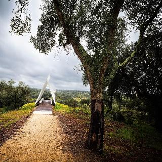 Herdade Da Rocha Boutique Lodge fotoÄŸrafÄ±