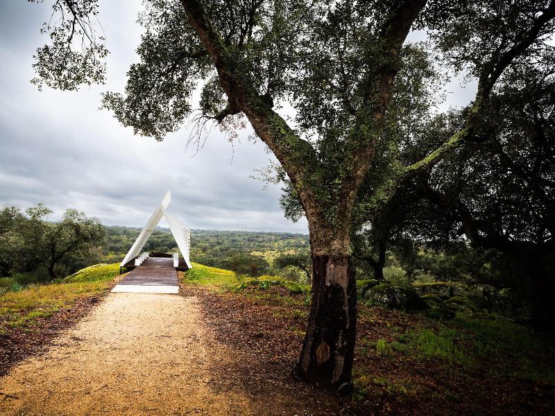 Herdade Da Rocha Boutique Lodge - Genel