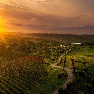 Herdade Da Rocha Boutique Lodge fotoÄŸrafÄ±