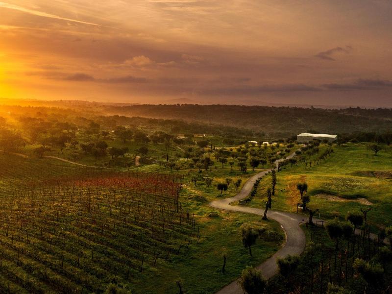 Herdade Da Rocha Boutique Lodge - Genel
