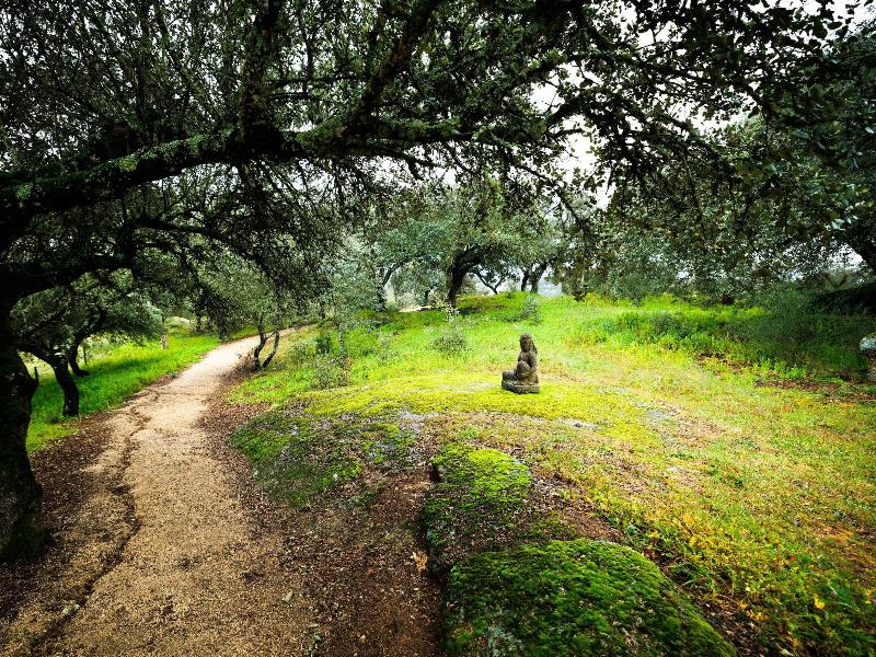 Herdade Da Rocha Boutique Lodge - Genel