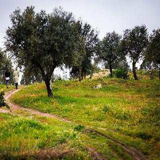 Herdade Da Rocha Boutique Lodge fotoÄŸrafÄ±
