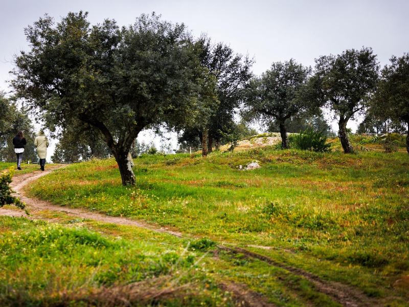 Herdade Da Rocha Boutique Lodge - Genel