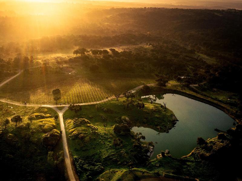 Herdade Da Rocha Boutique Lodge - Genel
