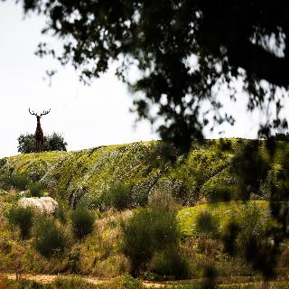 Herdade Da Rocha Boutique Lodge fotoÄŸrafÄ±