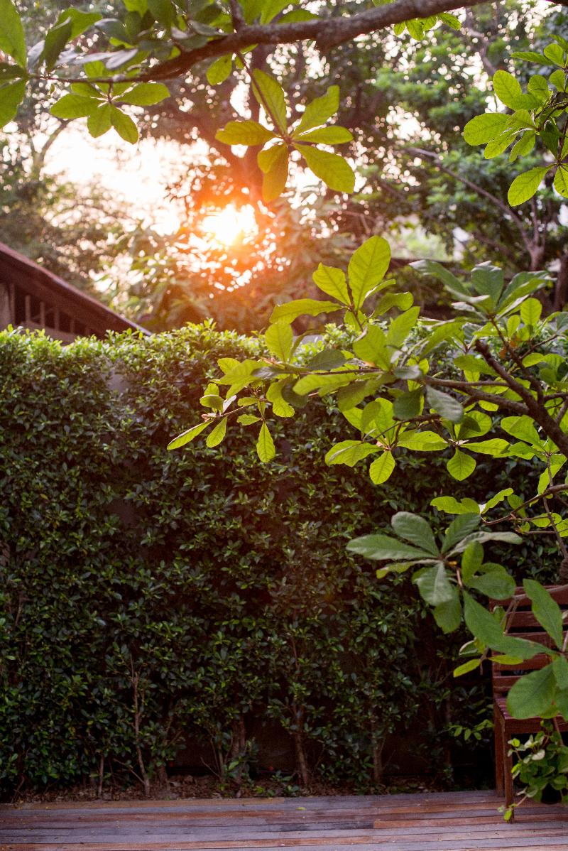 CHU Hotel Chiang Mai - Teras
