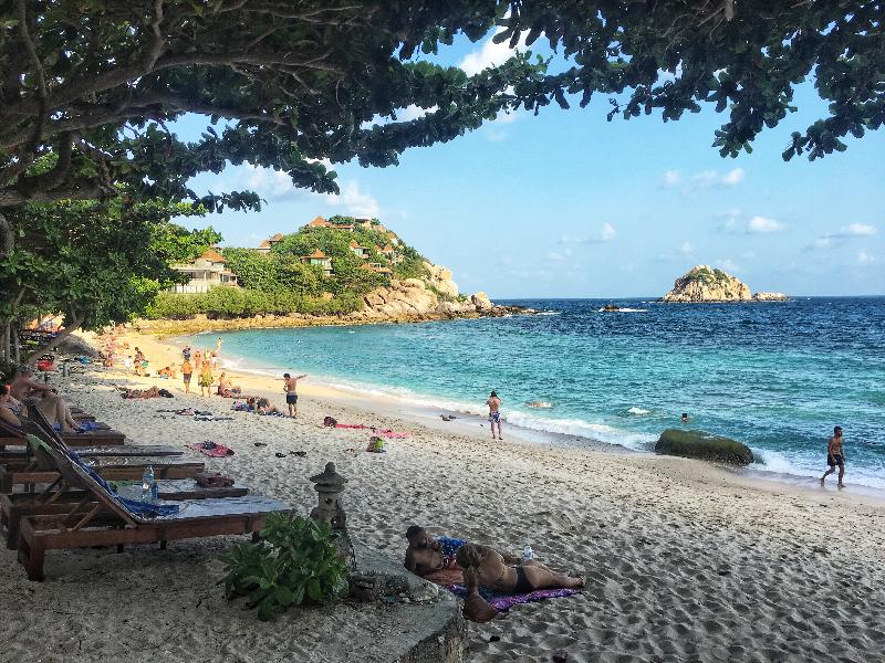Coral View Resort - Genel