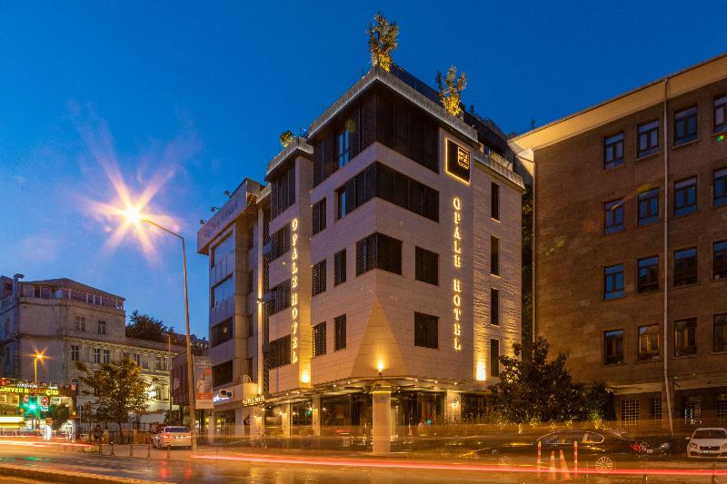 Opale Hotel - Genel