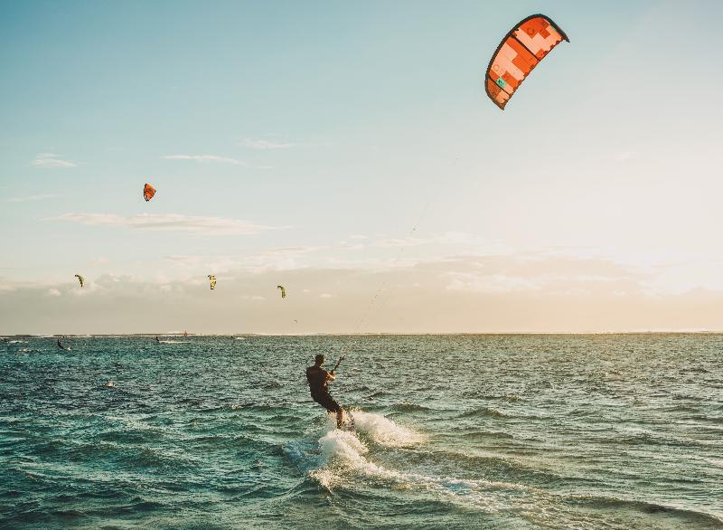 Tao Cotillo - Aktivite