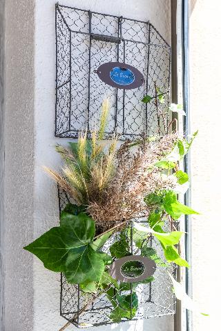 Hostal Buenos Aires fotoÄŸrafÄ±