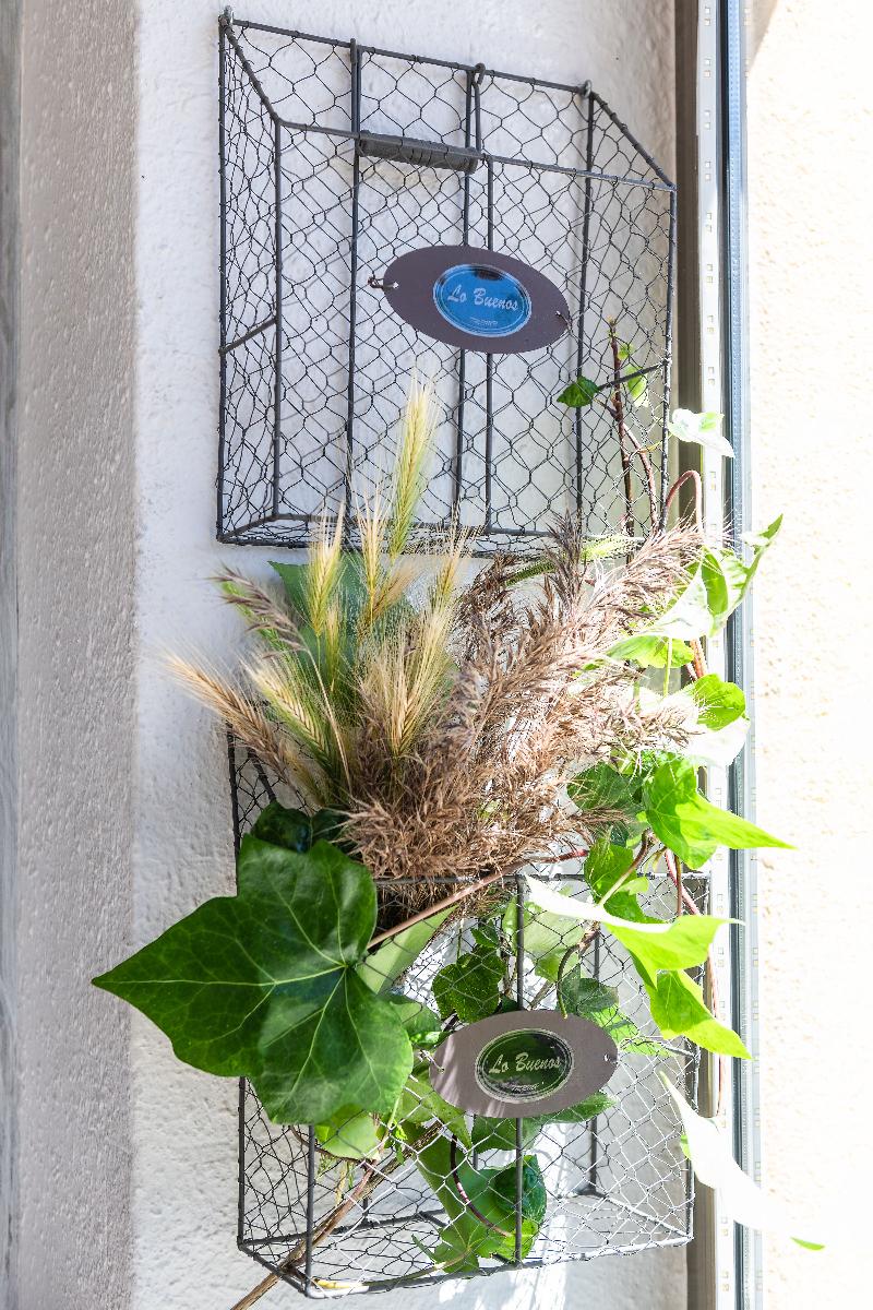 Hostal Buenos Aires - Teras