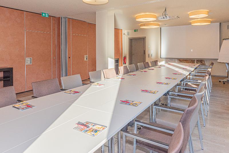 Braun Art Hotel - Toplantı