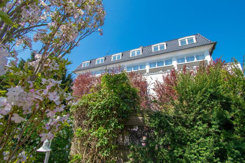 Braun Art Hotel - Genel