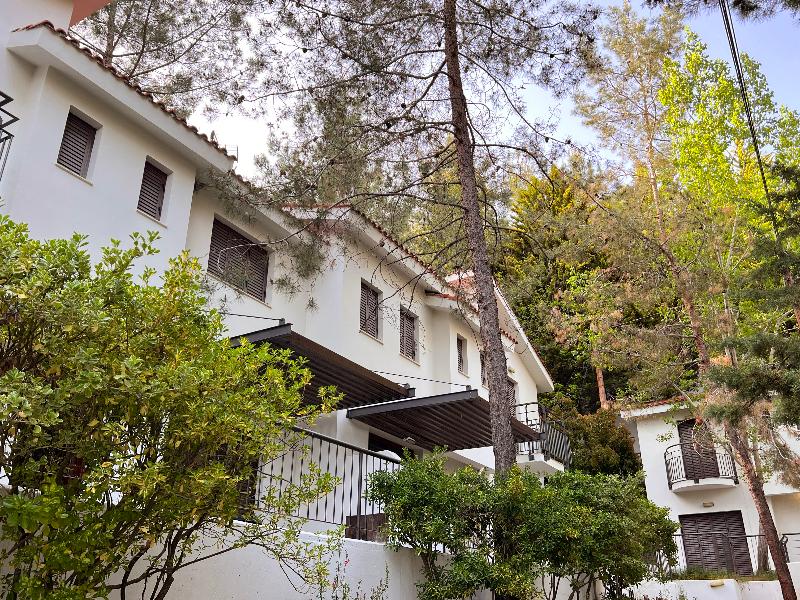 Poed Residence - Genel