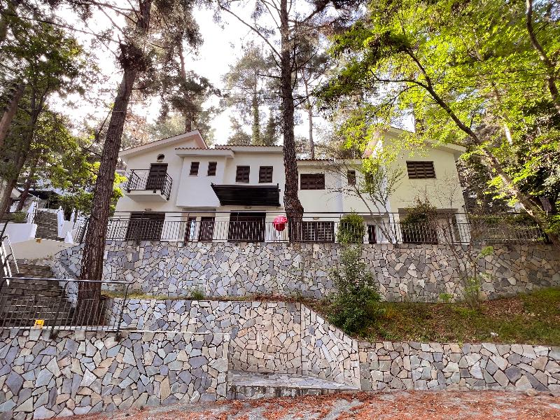 Poed Residence - Genel