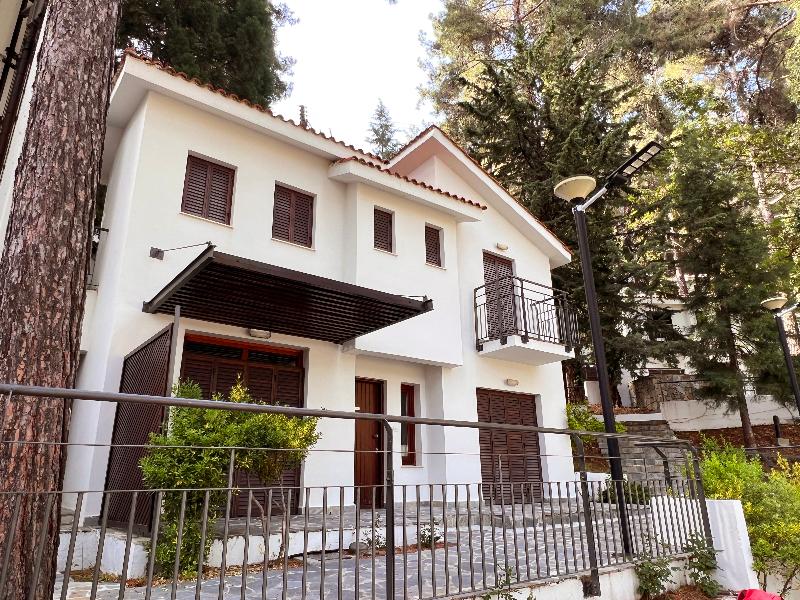 Poed Residence - Genel