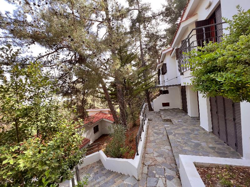 Poed Residence - Genel