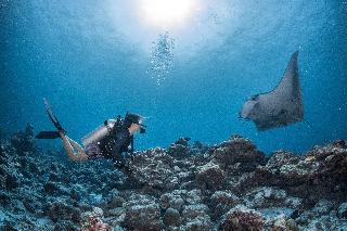 InterContinental Maldives Maamunagau Resort fotoÄŸrafÄ±